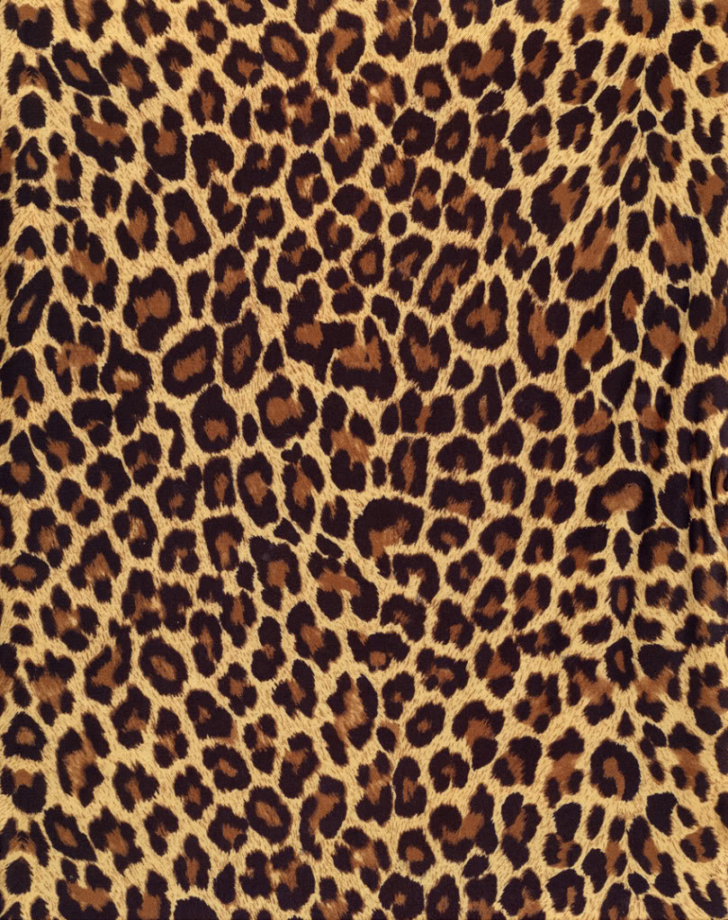 High Resolution Wallpaper | Leopard Skin 809x1023 px