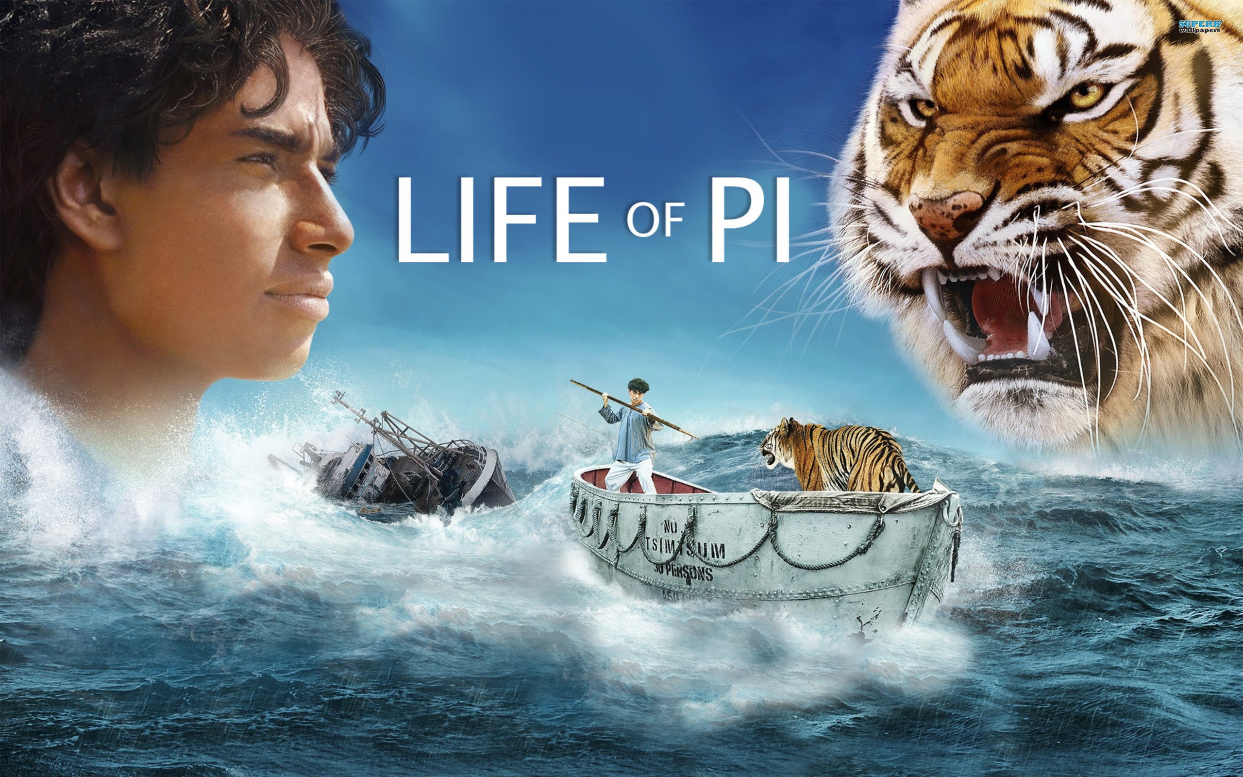 Nice wallpapers Life Of Pi 2560x1600px