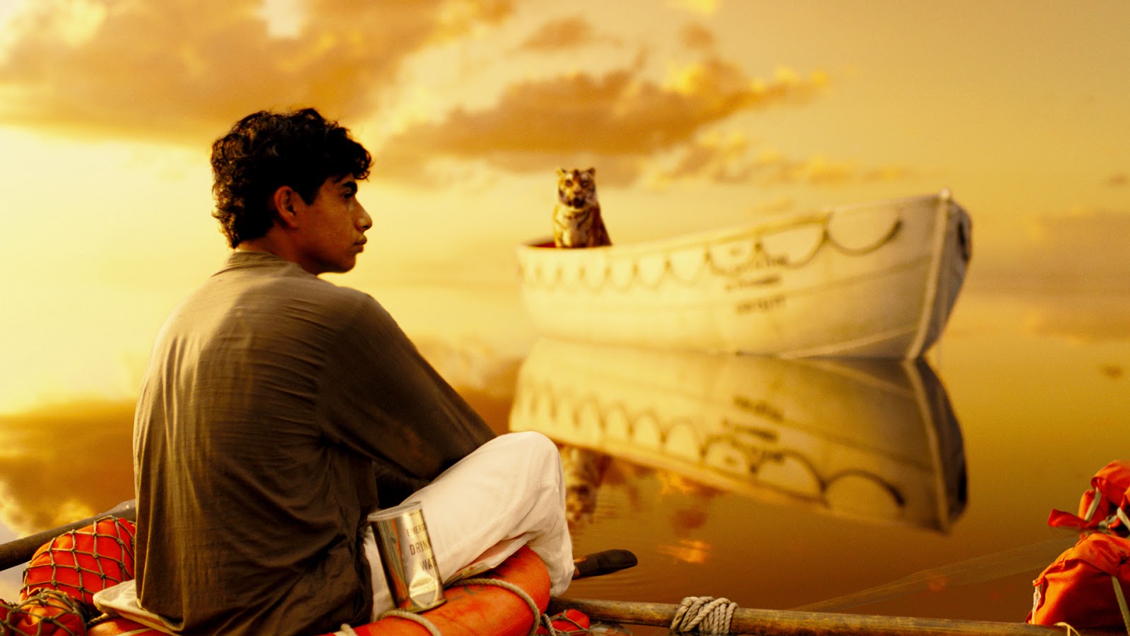 Nice wallpapers Life Of Pi 1600x900px