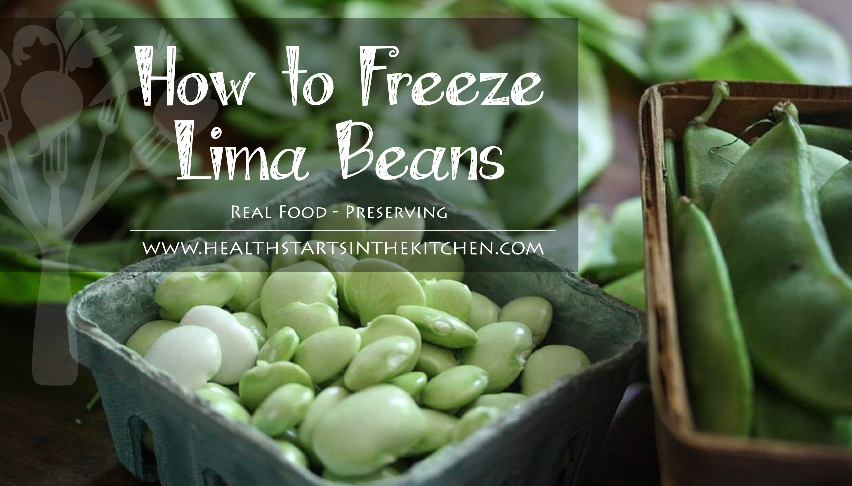 Lima Beans #19