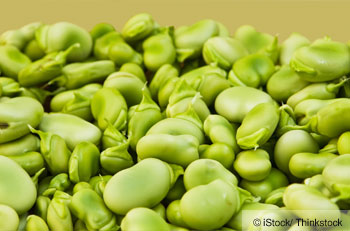 Lima Beans #10