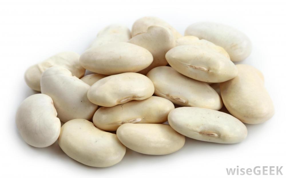 Lima Beans #6