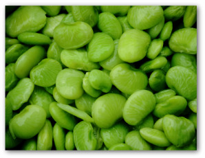 Lima Beans #4