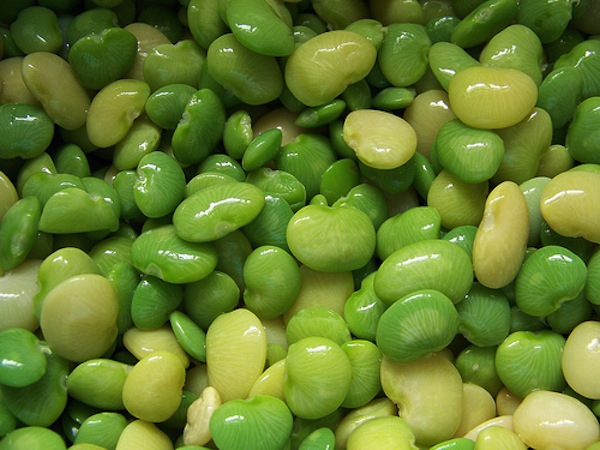 Lima Beans #12