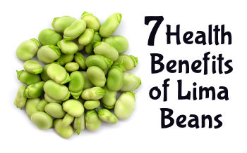 Lima Beans #17