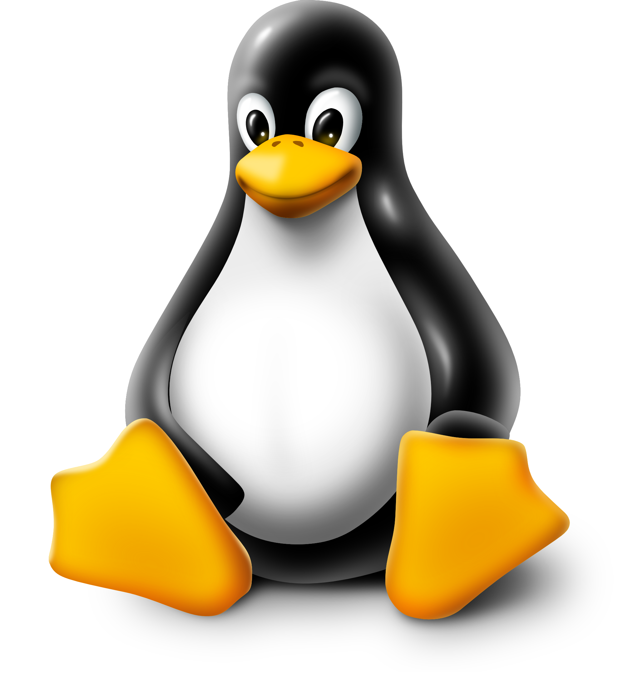 Linux #13