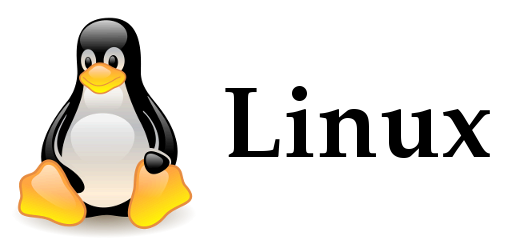 Linux #6