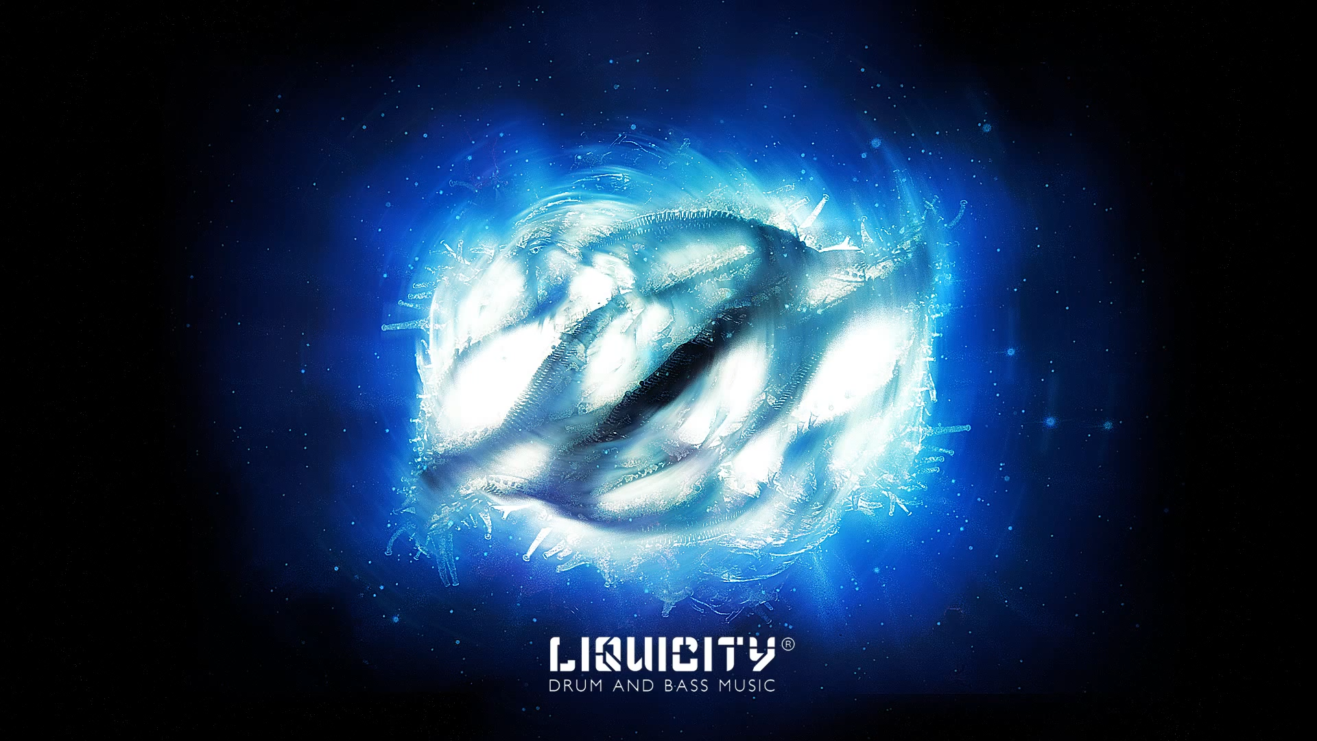 Liquicity Pics, Music Collection