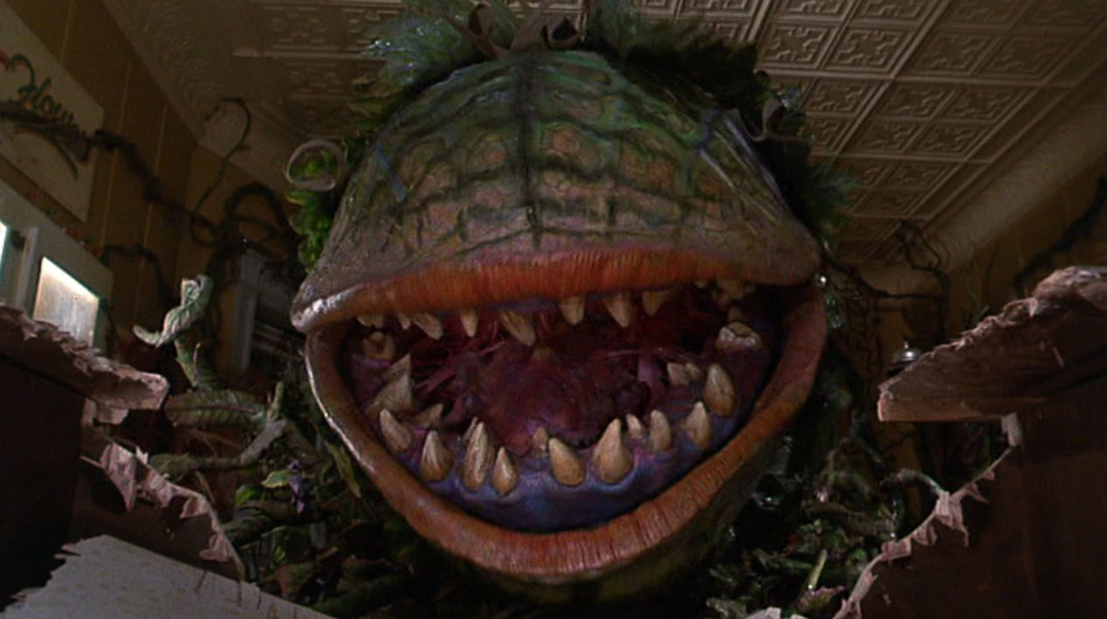 Nice Images Collection: Little Shop Of Horrors Desktop Wallpapers