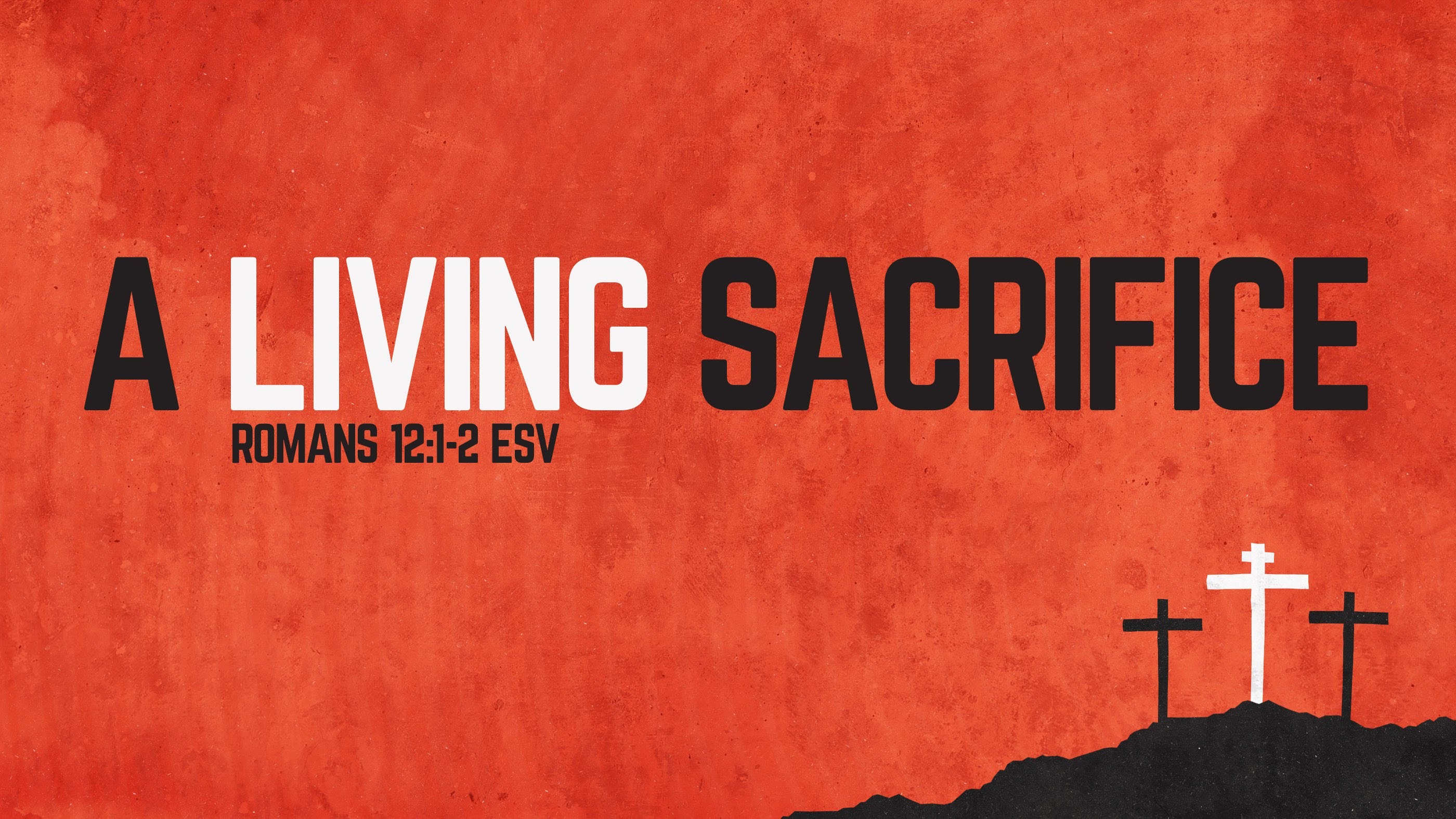 Living Sacrifice #7