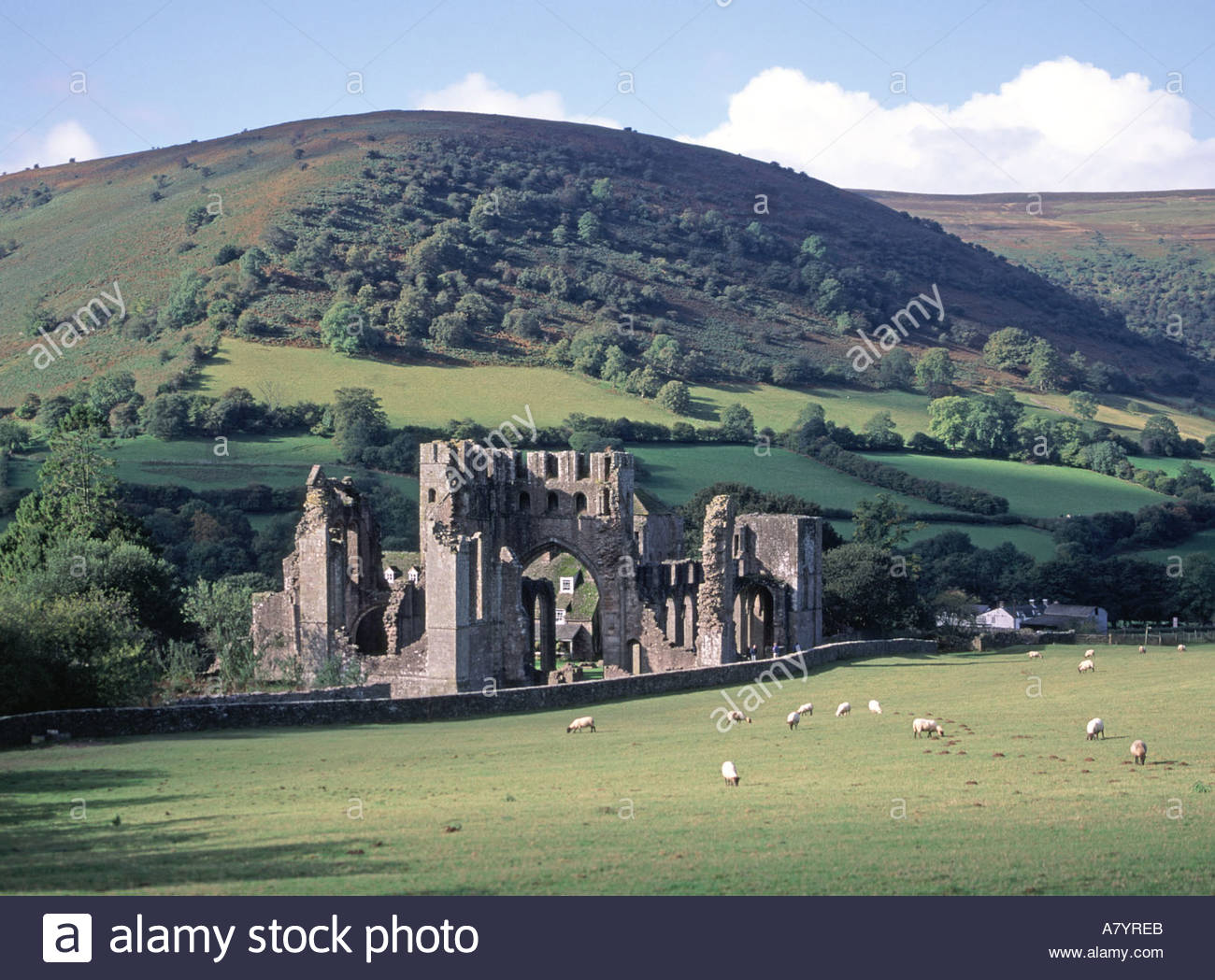 Llanthony Priory Backgrounds on Wallpapers Vista