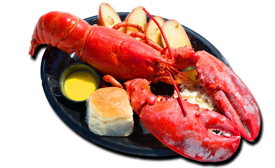 Lobster #18