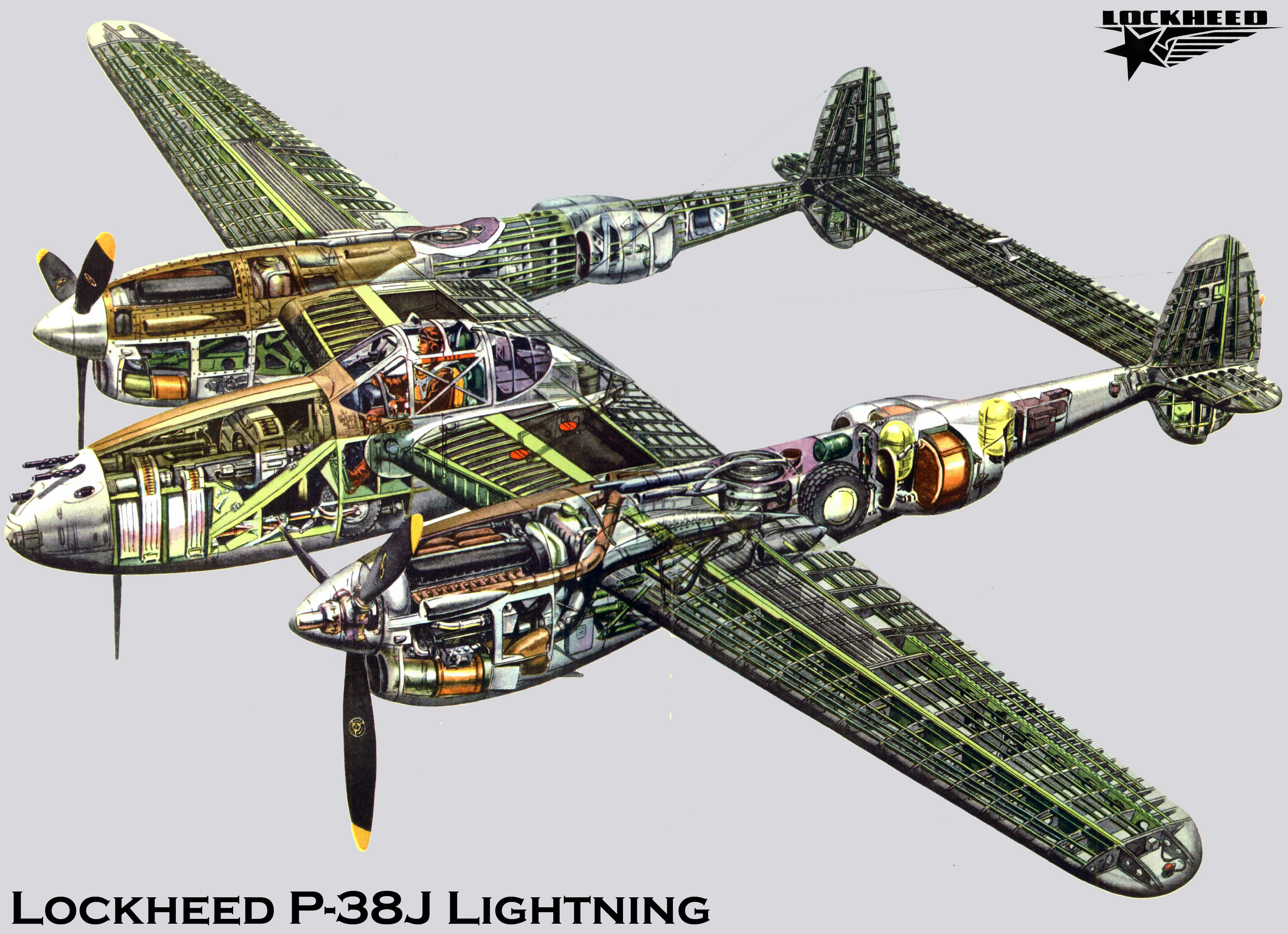 Amazing Lockheed P-38 Lightning Pictures & Backgrounds