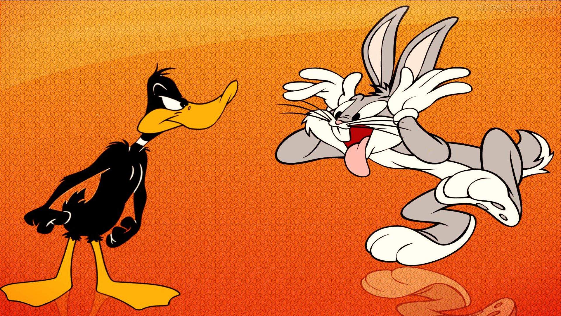 Nice wallpapers Looney Tunes 1920x1080px