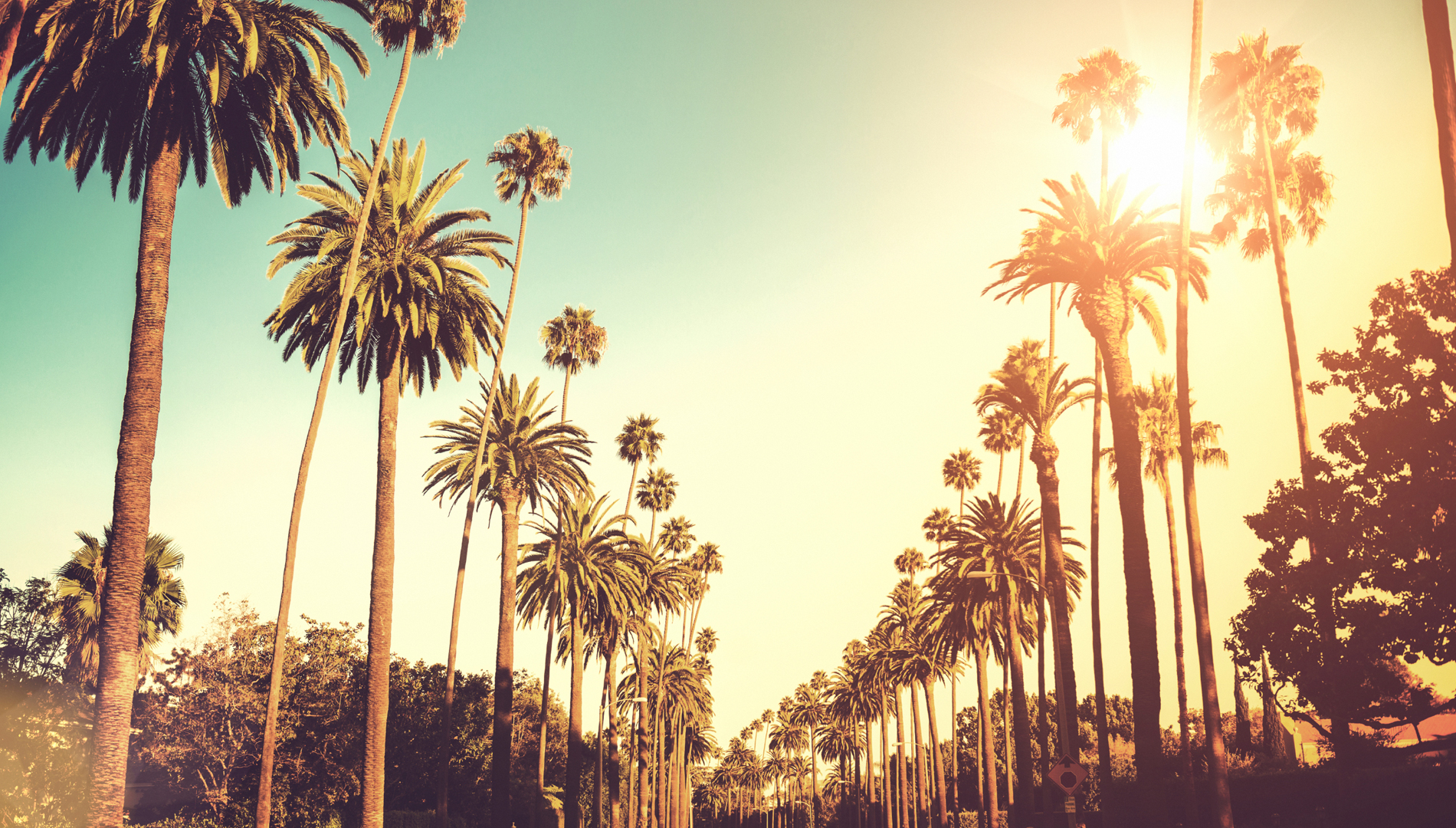 Los Angeles Backgrounds on Wallpapers Vista