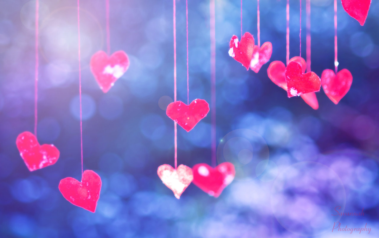 Nice Images Collection: Love Is In The Air Desktop Wallpapers