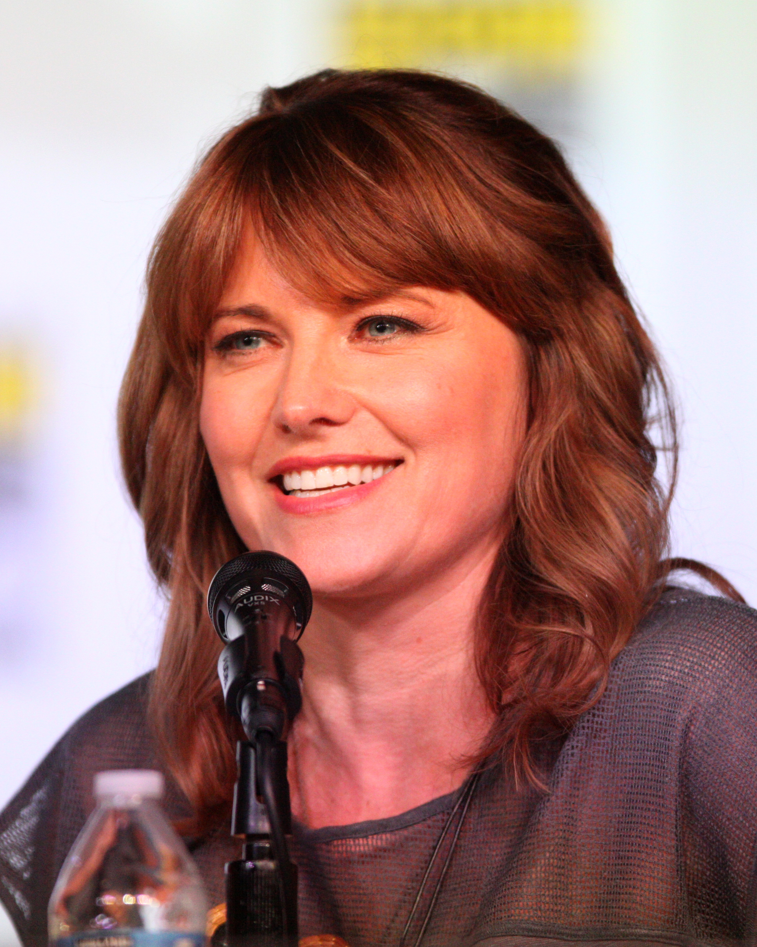 Nice wallpapers Lucy Lawless 2477x3096px