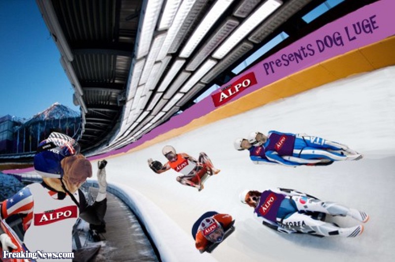 Amazing Luge Pictures & Backgrounds