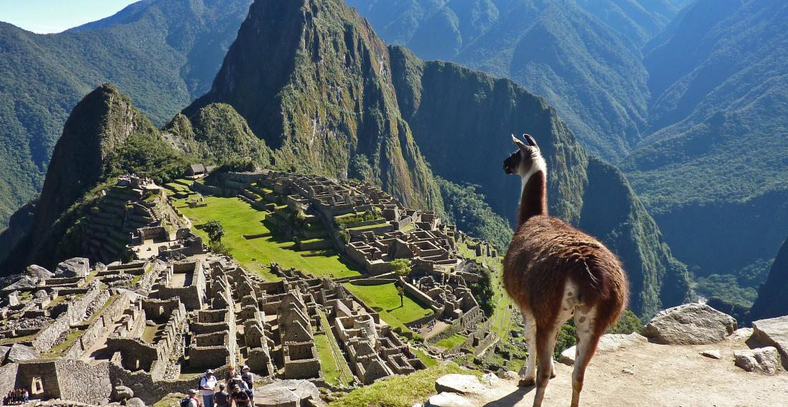 Machu Picchu #1