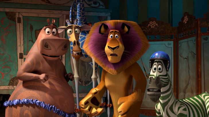 Images of Madagascar 3: Europe's Most Wanted | 728x409