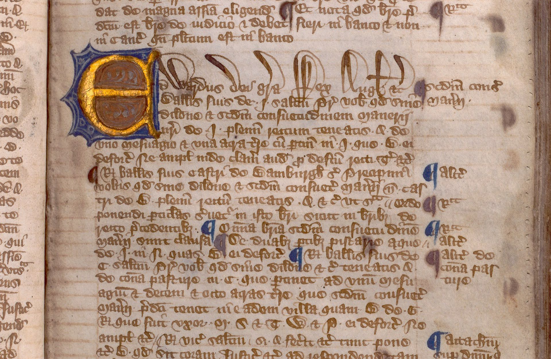 Magna Carta #20
