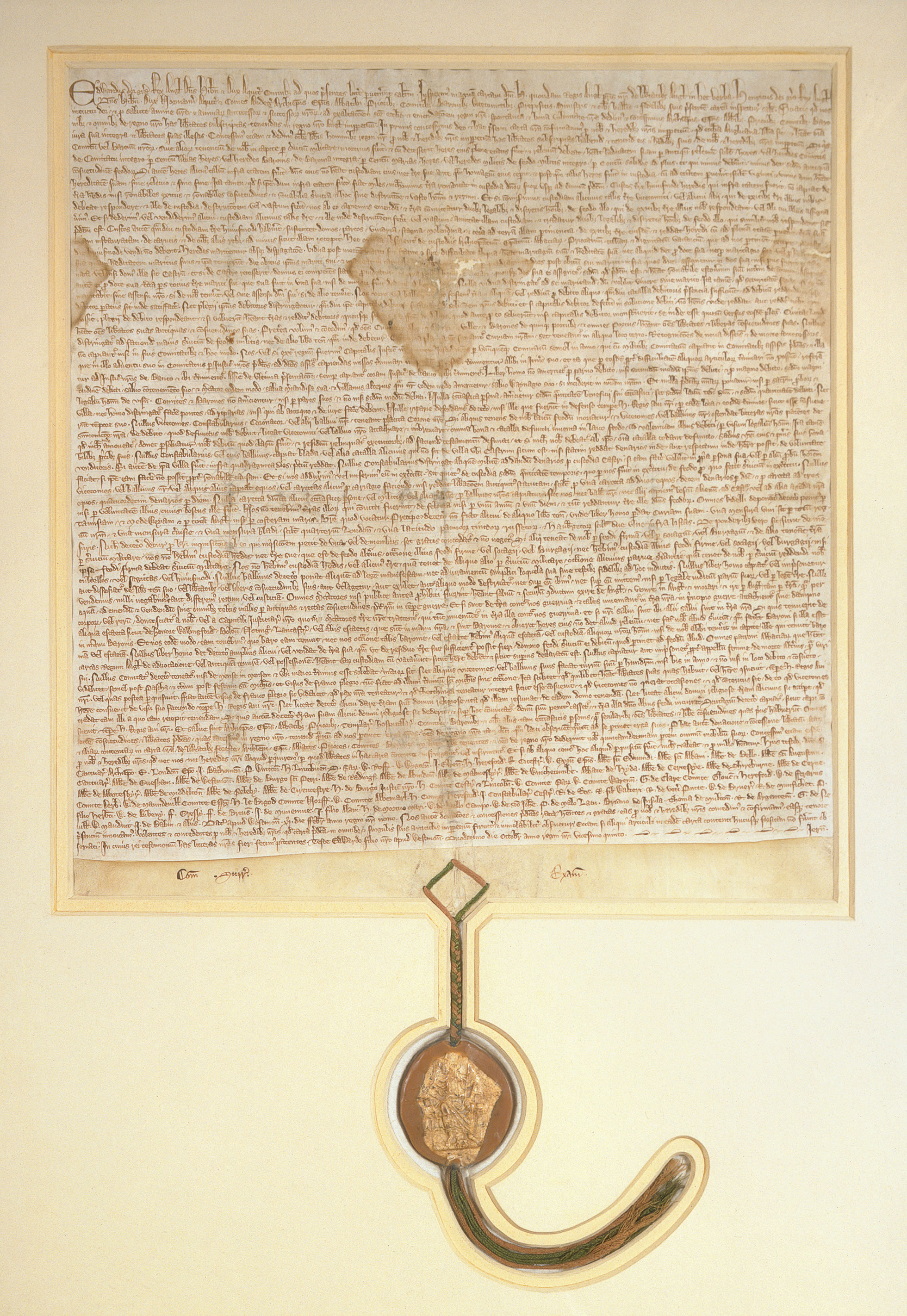 Magna Carta #17