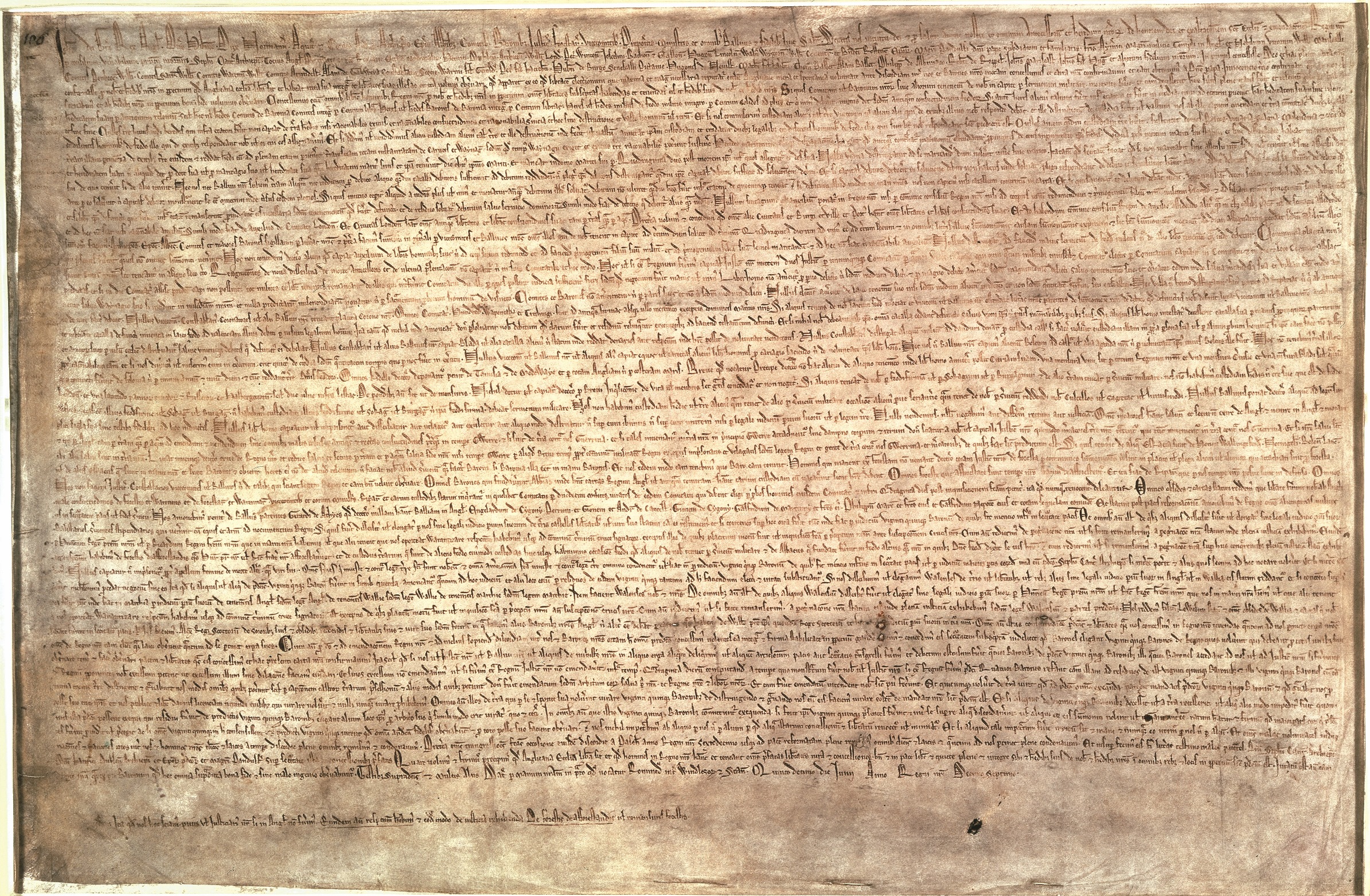 Magna Carta #19