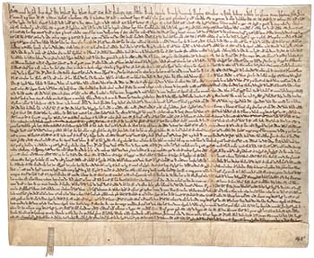 Magna Carta #7