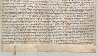 Magna Carta #14