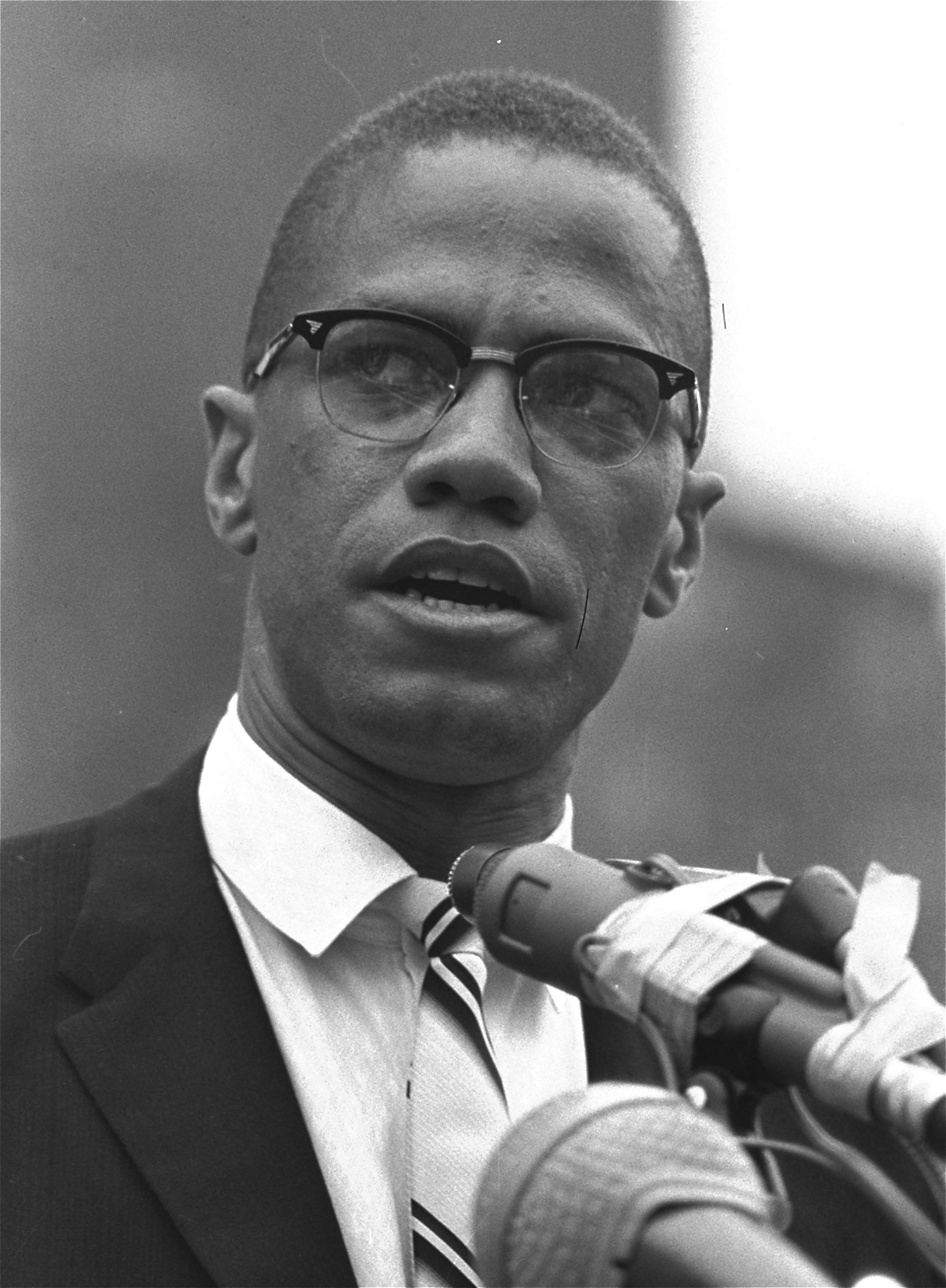 Malcolm X #24