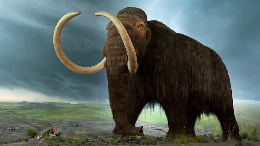 1024x576 > Mammoth Wallpapers