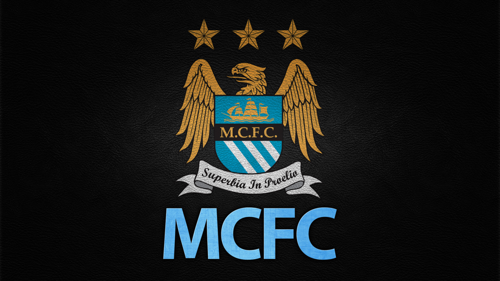 Manchester City F.C. #7