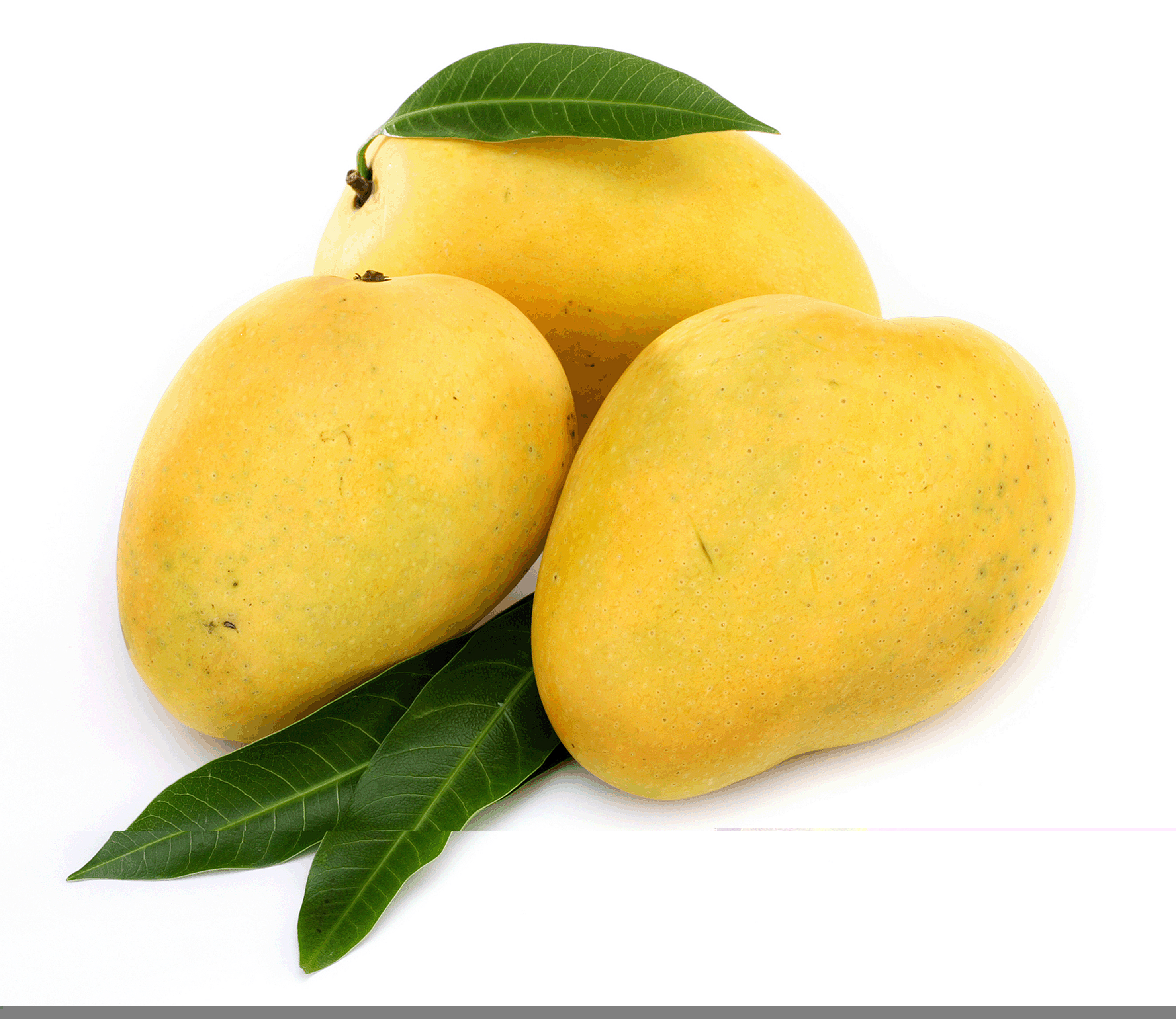 Amazing Mango Pictures & Backgrounds