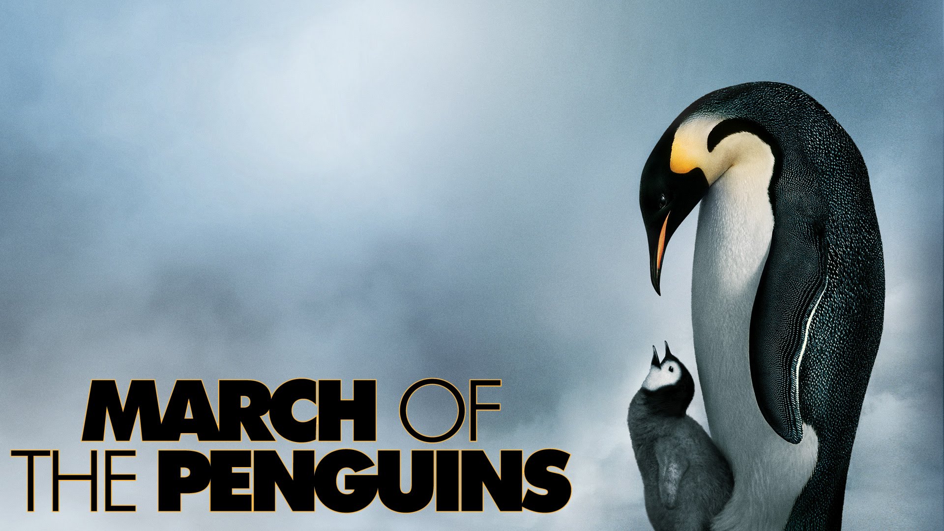 March Of The Penguins #8