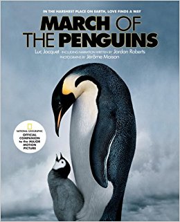 March Of The Penguins #16