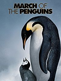 March Of The Penguins #12