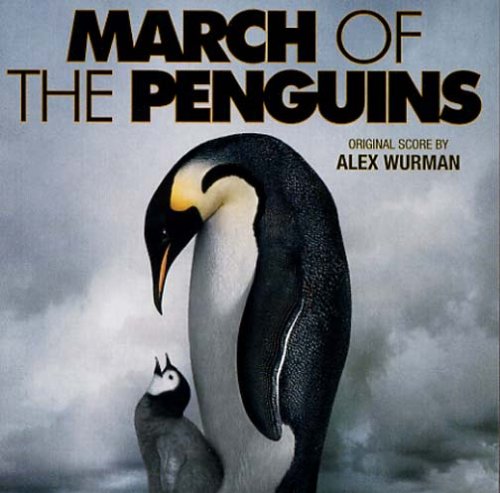 High Resolution Wallpaper | March Of The Penguins 500x493 px