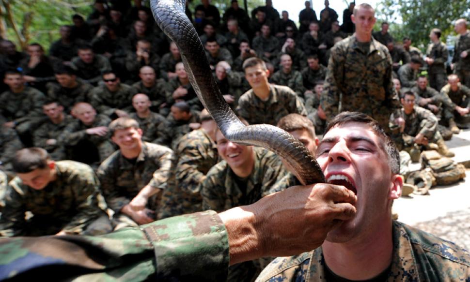 HD Quality Wallpaper | Collection: Men, 970x583 Marines