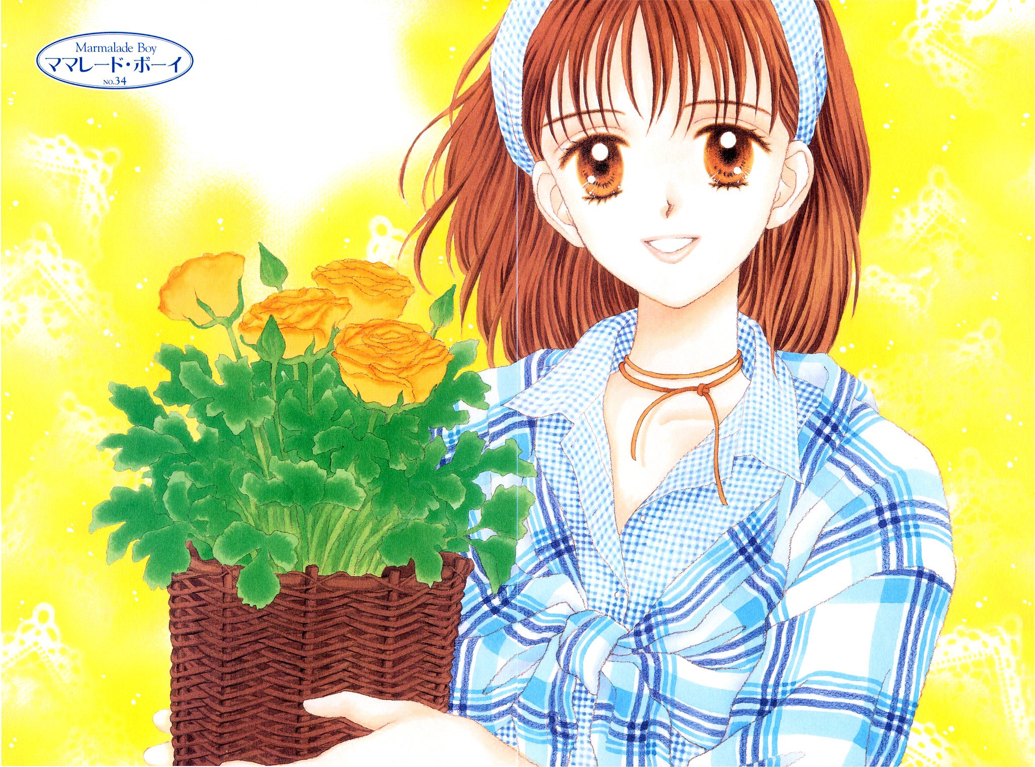 Marmalade Boy Pics, Anime Collection