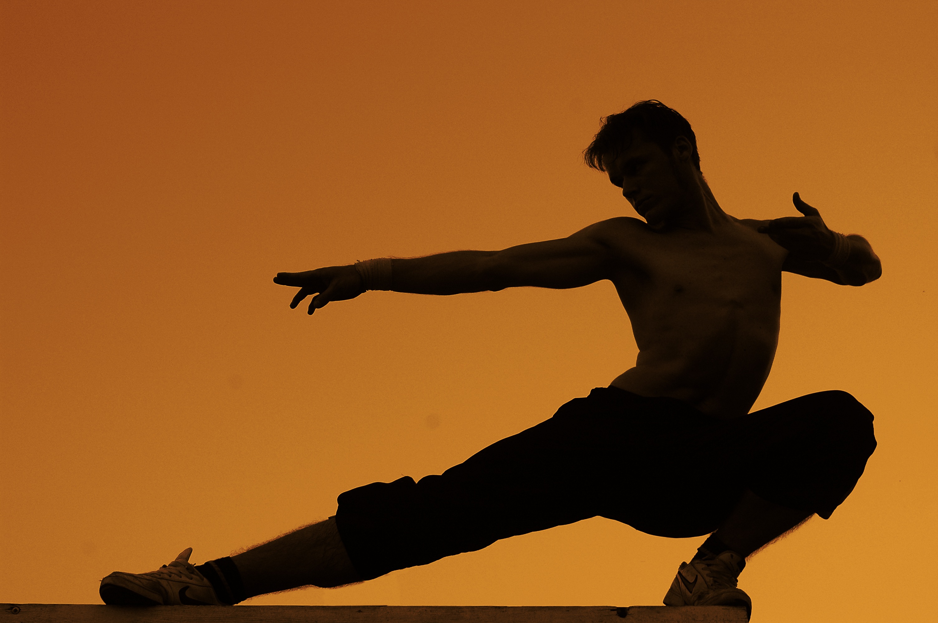 Nice Images Collection: Martial Arts Desktop Wallpapers