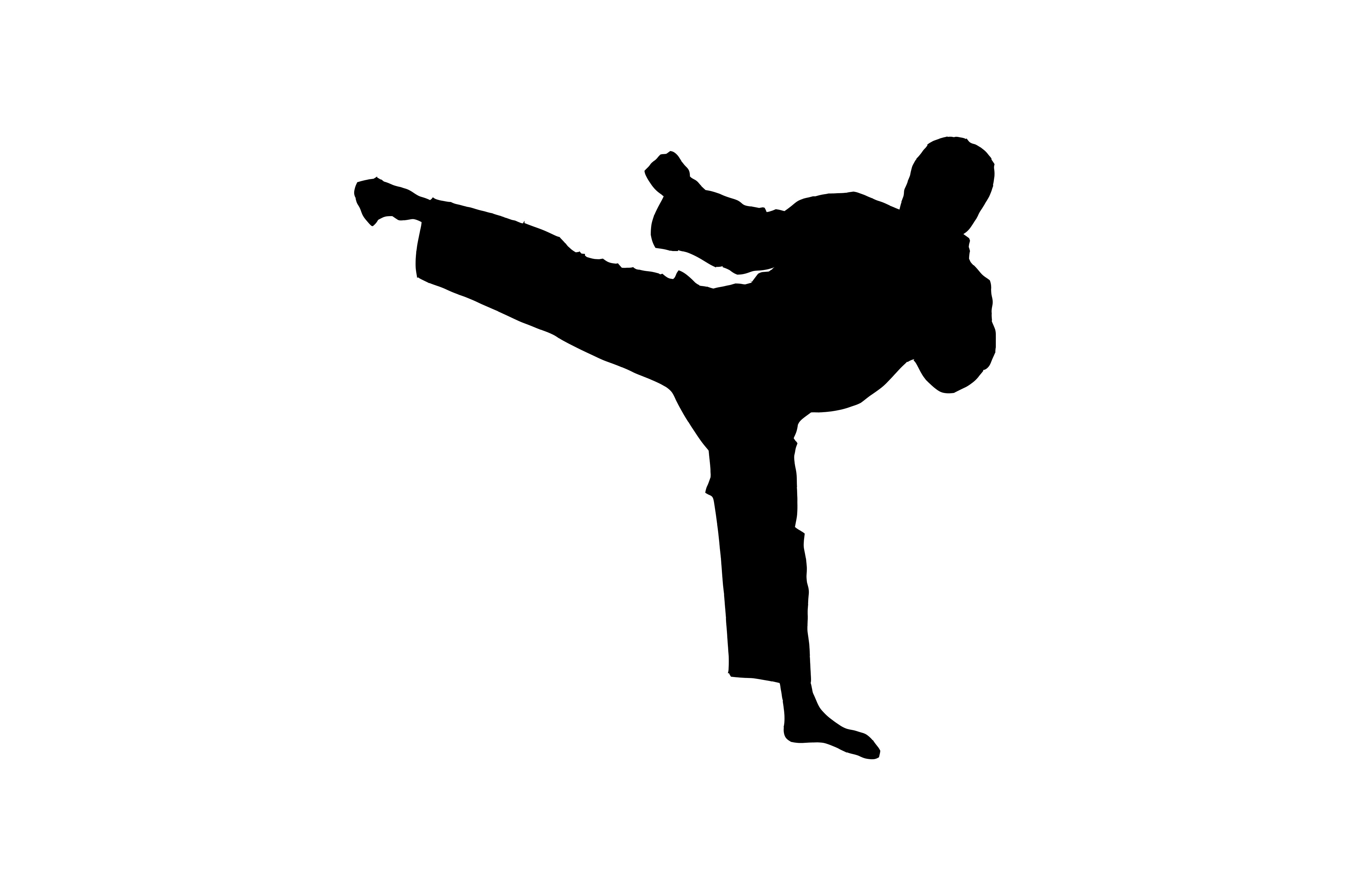 Martial Arts #8