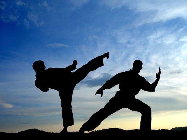 HQ Martial Arts Wallpapers | File 69.87Kb