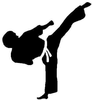 HD Quality Wallpaper | Collection: Sports, 389x421 Martial Arts