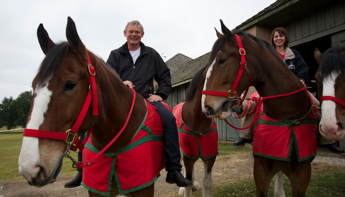 Nice Images Collection: Martin Clunes: Horsepower Desktop Wallpapers