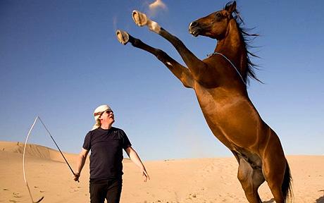 Images of Martin Clunes: Horsepower | 460x288