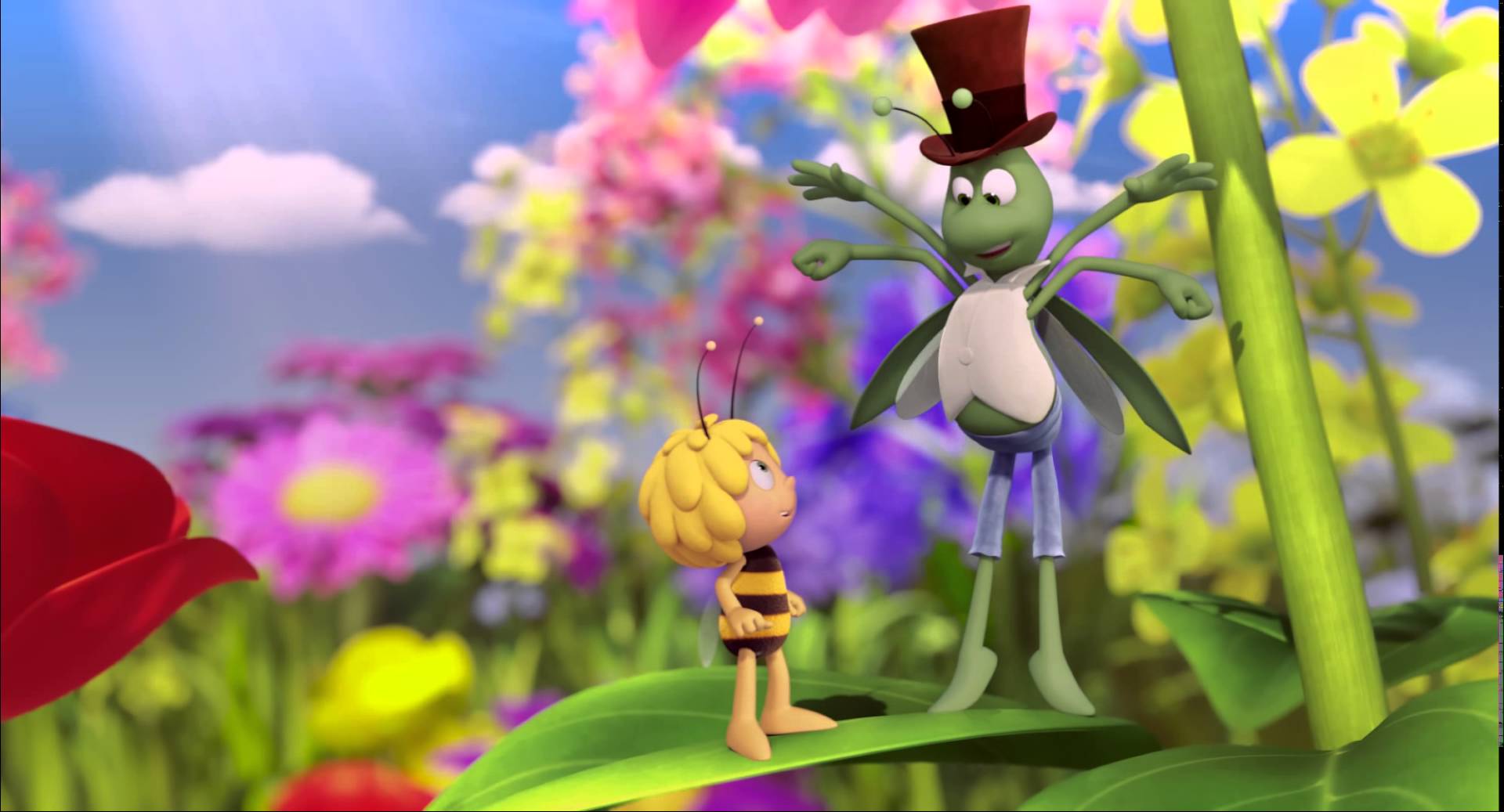 Amazing Maya The Bee Movie Pictures & Backgrounds
