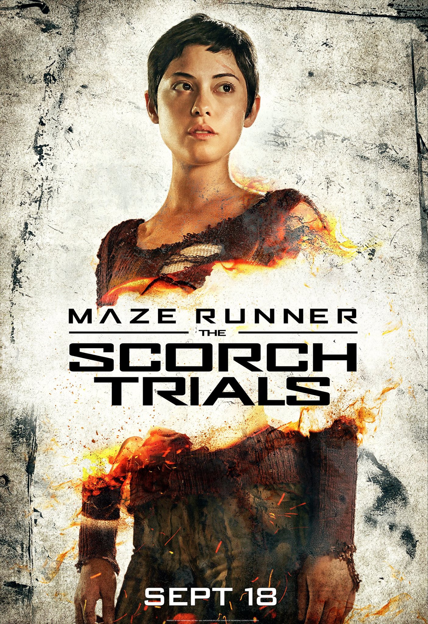 Amazing Maze Runner: The Scorch Trials Pictures & Backgrounds