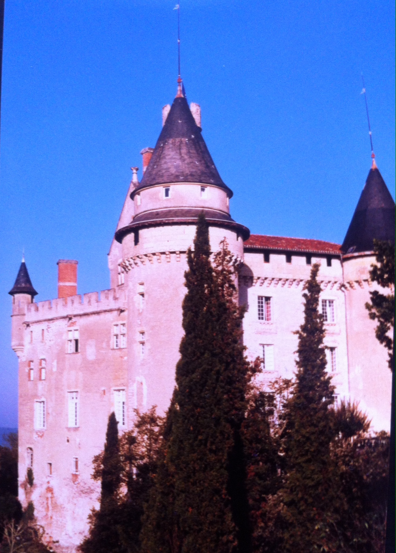 Mecues Castle #9