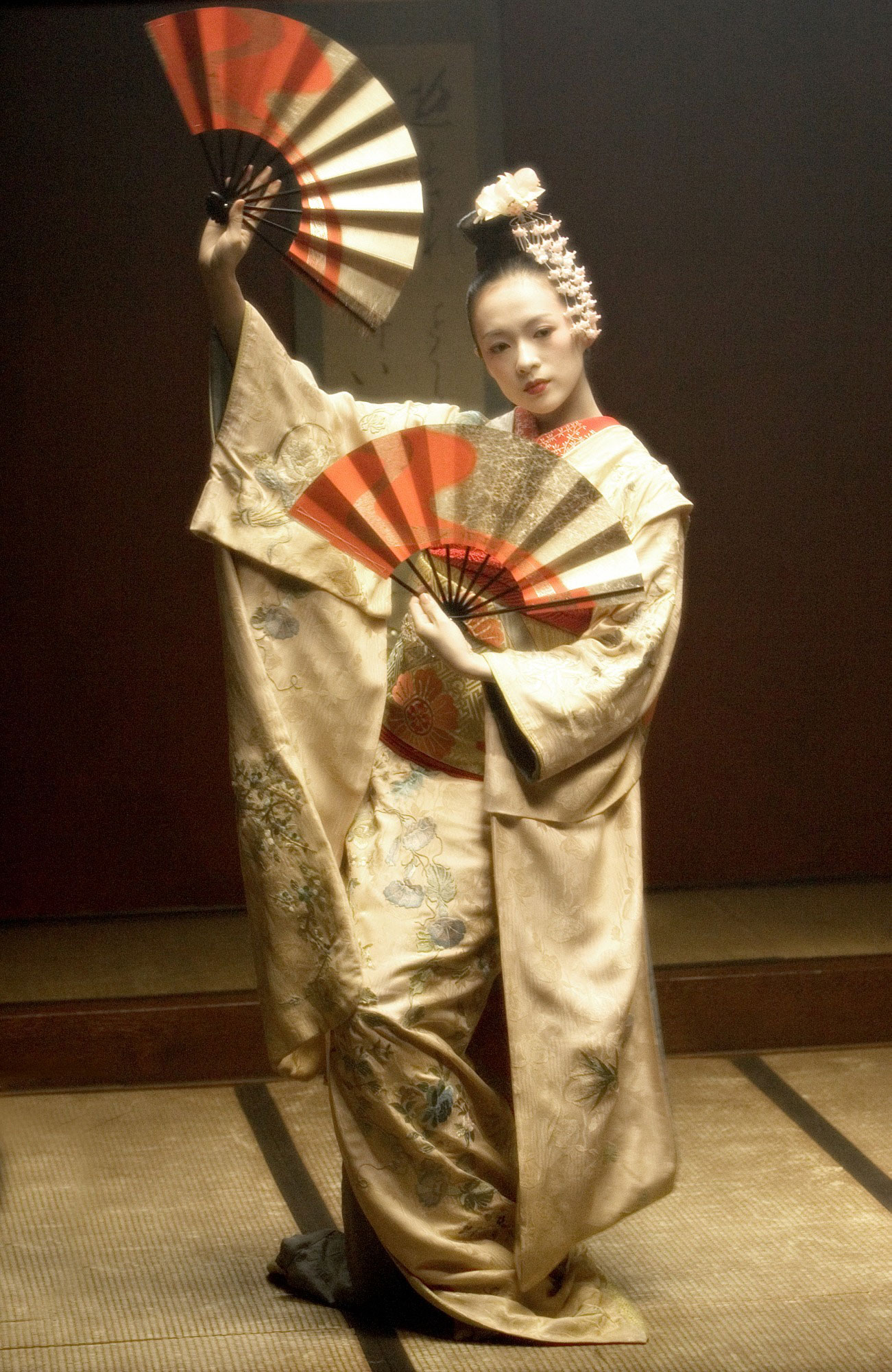 Amazing Memoirs Of A Geisha Pictures & Backgrounds