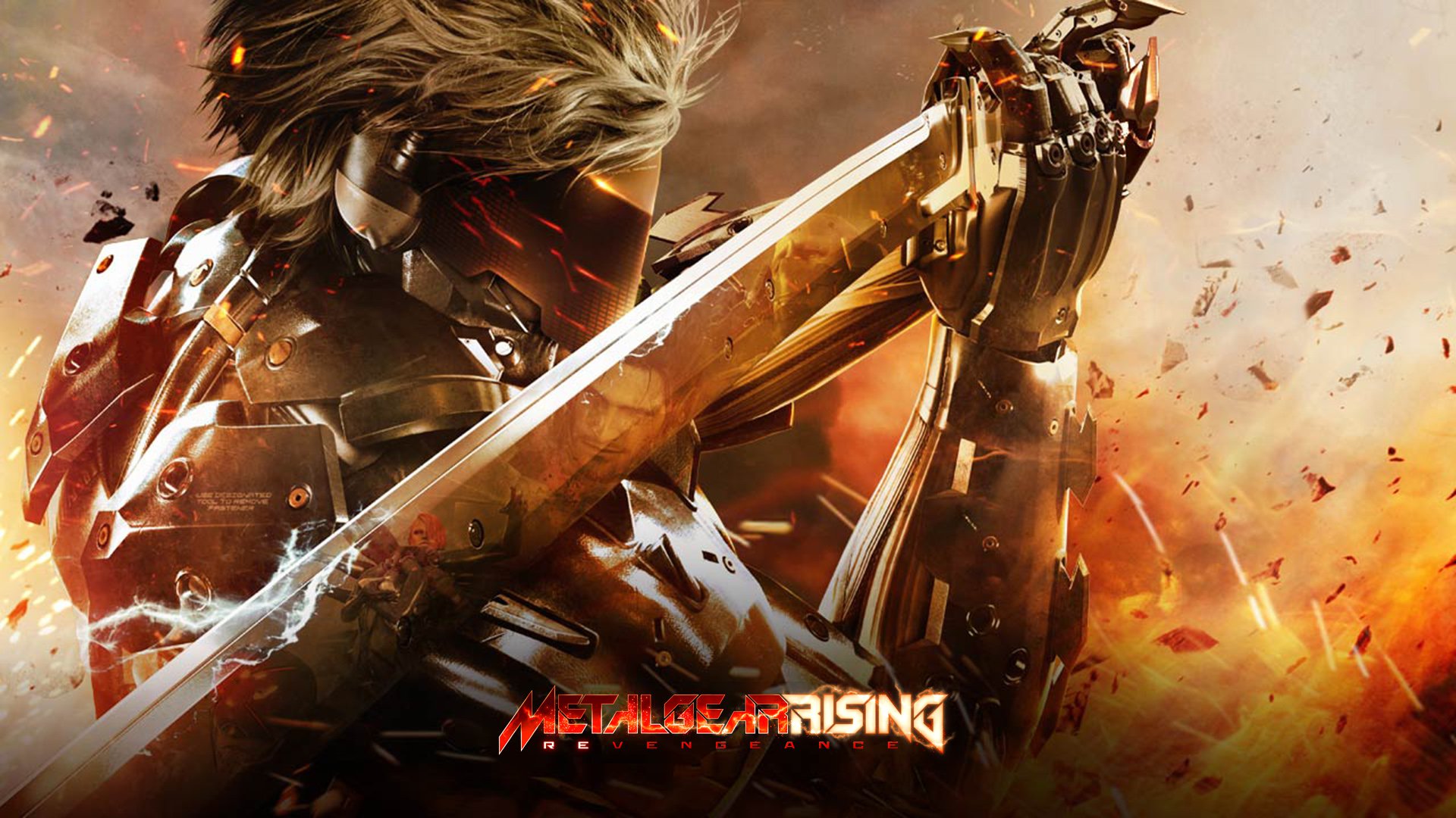 Metal Gear Rising #12